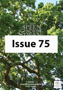 SND75 - Summer 2019